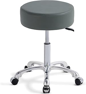 Swivel Rolling Stool Round Chair,Thick Sturdy Padding,Adjustable Stool with Wheels for Doctor,Medical,Massage Salon,Office,Shop(no Back, Gray)