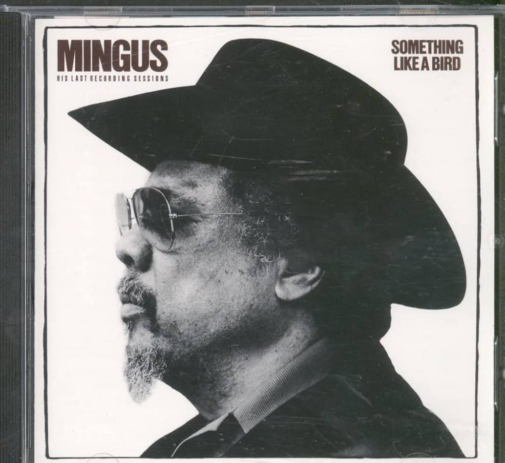 Amazon.co.jp: Something Like a Bird: ミュージック