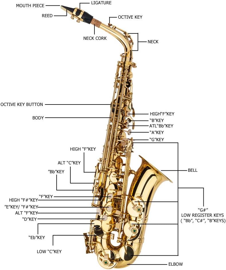 Buy Bysesion Alto Drop E Paint Gold Saxophone Paint Gold ...