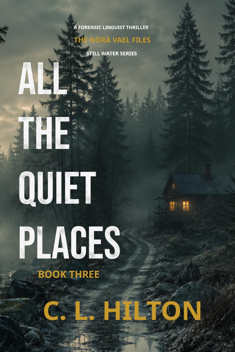 All the Quiet Places: Book Three of the Still Water Series