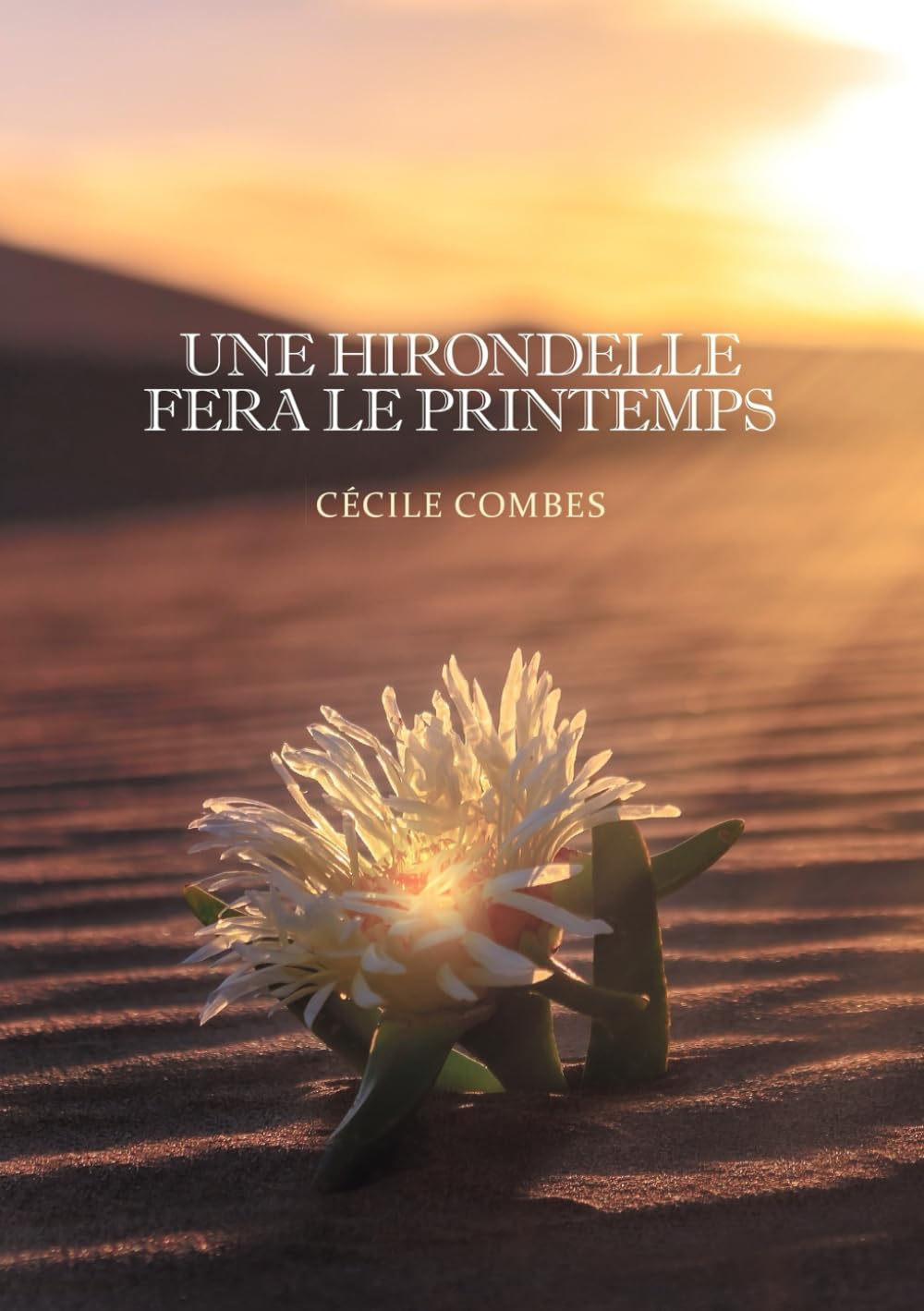 Une hirondelle fera le printemps