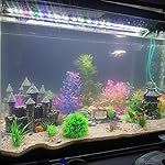 Review Image by Alkestida