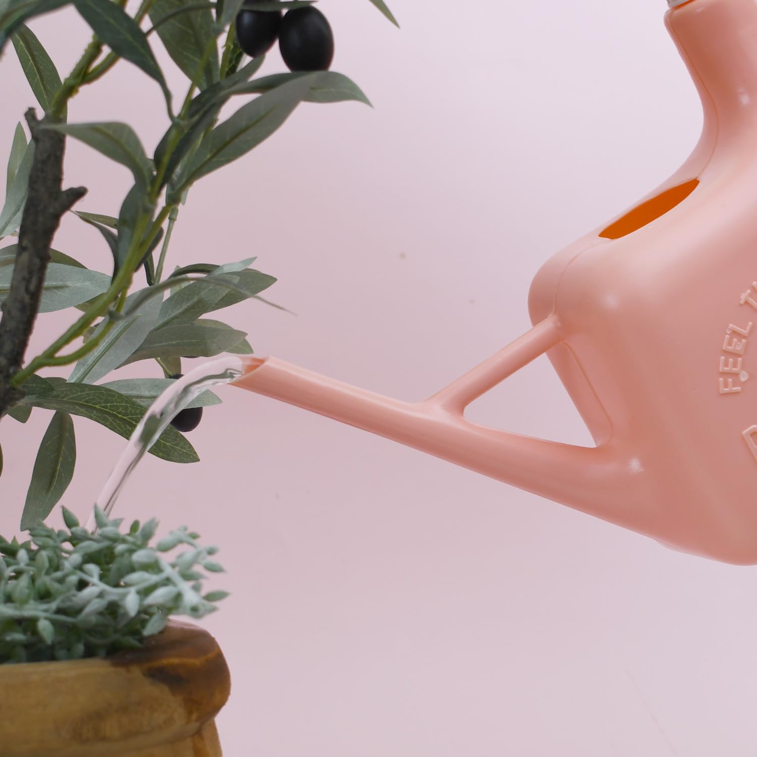PETAL & FLOW Arrosoir 2 en 1 et vaporisateur pour plantes d'intérieur et d'extérieur, 1,6 l (rose abricot)