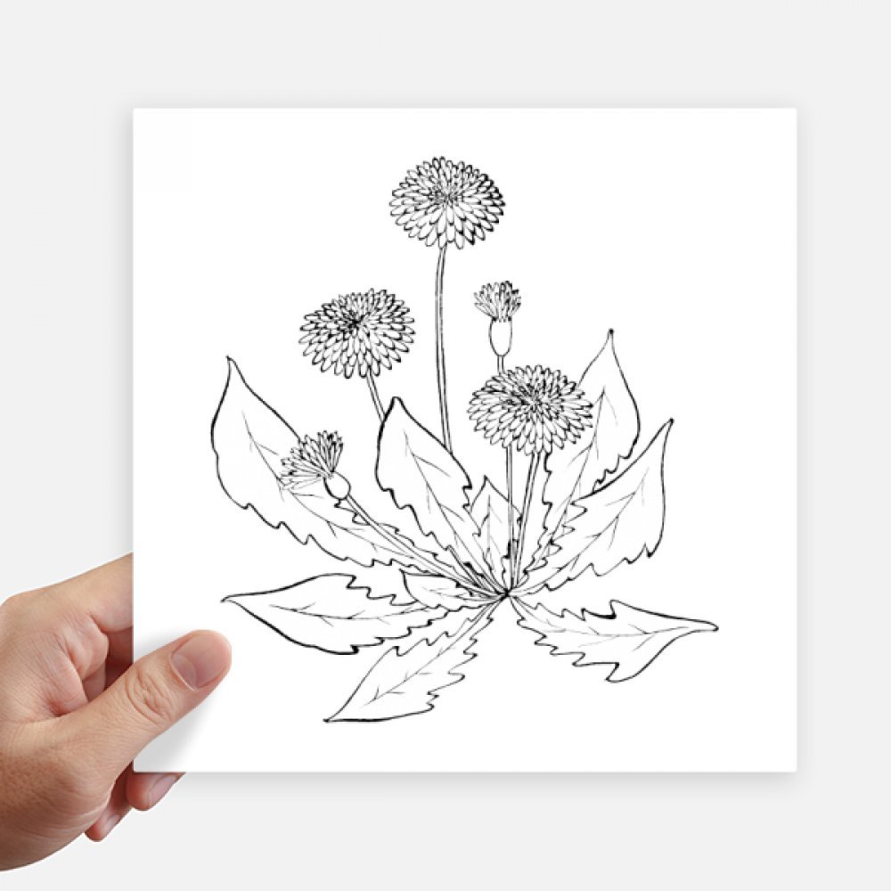 Vinilo de diente de león floreciente adhesivo cuadrado negro y blanco