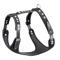 Ferplast Pettorina per Cani GIOTTO LUXOR MEDIUM, in Vera Pelle con Borchie Argentate