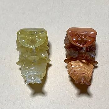 Amazon.co.jp: 海洋堂 チョコQ シークレット オオクワガタ 蛹 3