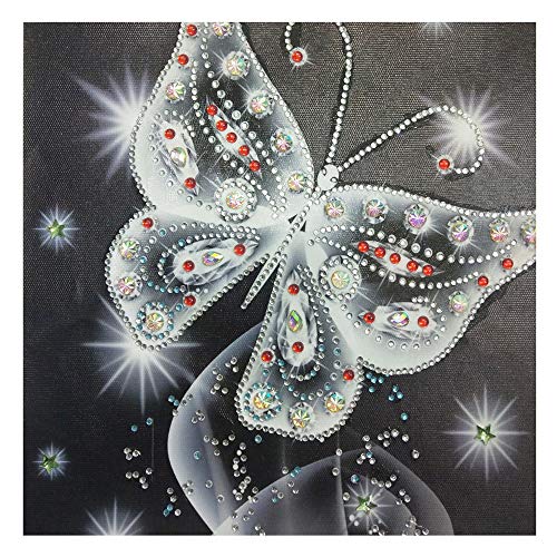 POPLY 5d diamond painting,Special Shaped Diamond Painting DIY 5D Partial Drill Cross Stitch Kits Crystal R with 5d diamond painting kits cross stitch kits