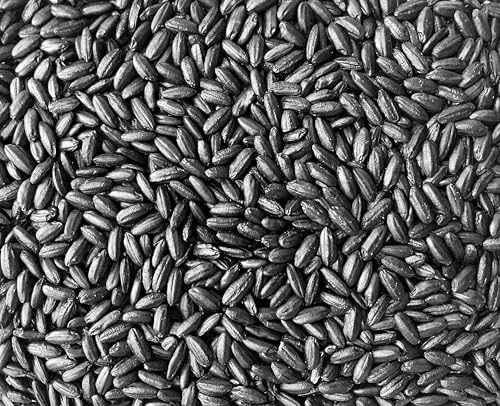 Emperor's Black Rice - Non-GMO, Whole Grain, Vegan - Rich in Protein and Fiber, All Natural (5 Pounds)