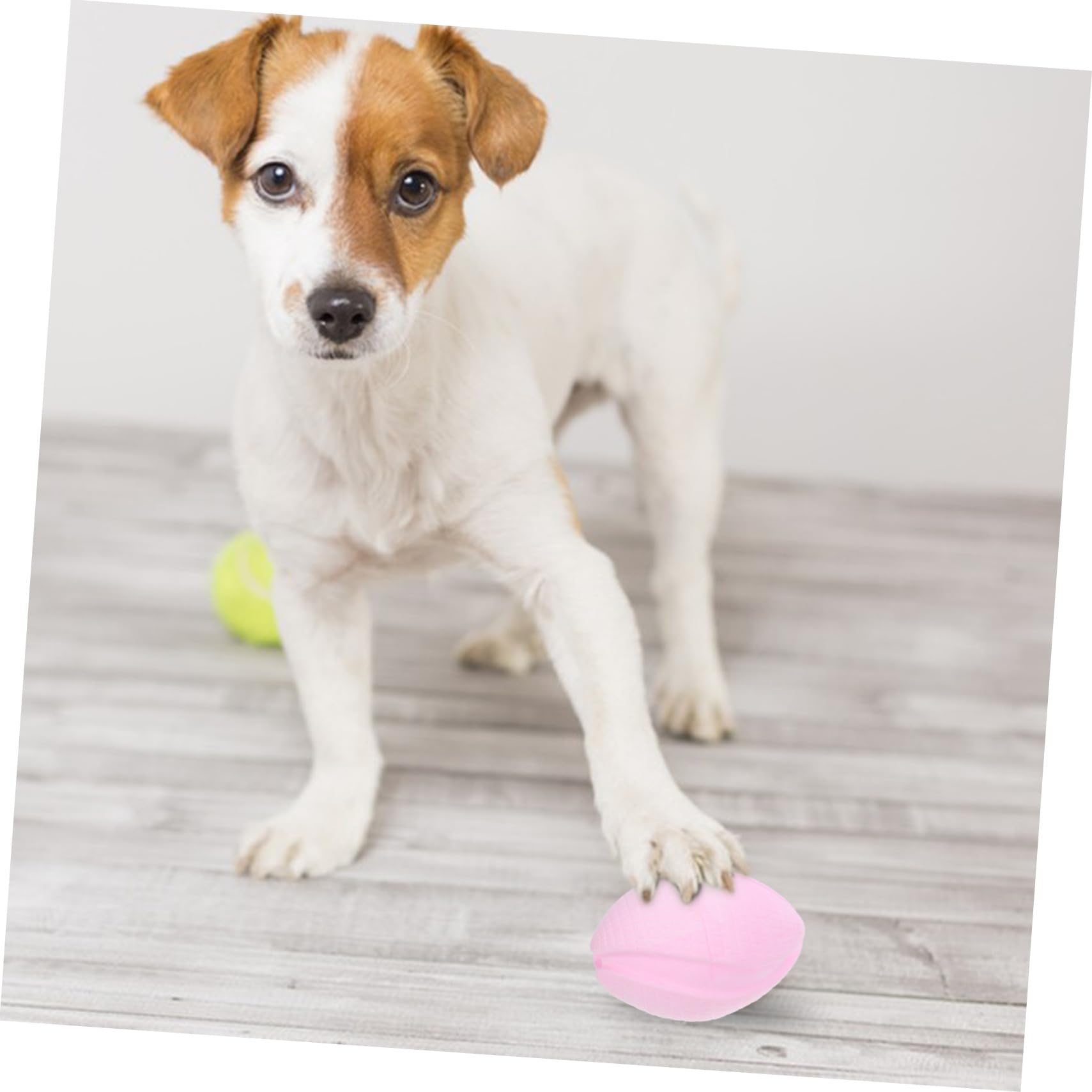 Angoily 5pièces Ballon à Mâcher pour Chiens Jouet De Dentition Flottant pour Chiots Petits Moyens Et Chiens pour Jouer Et Mastiquer