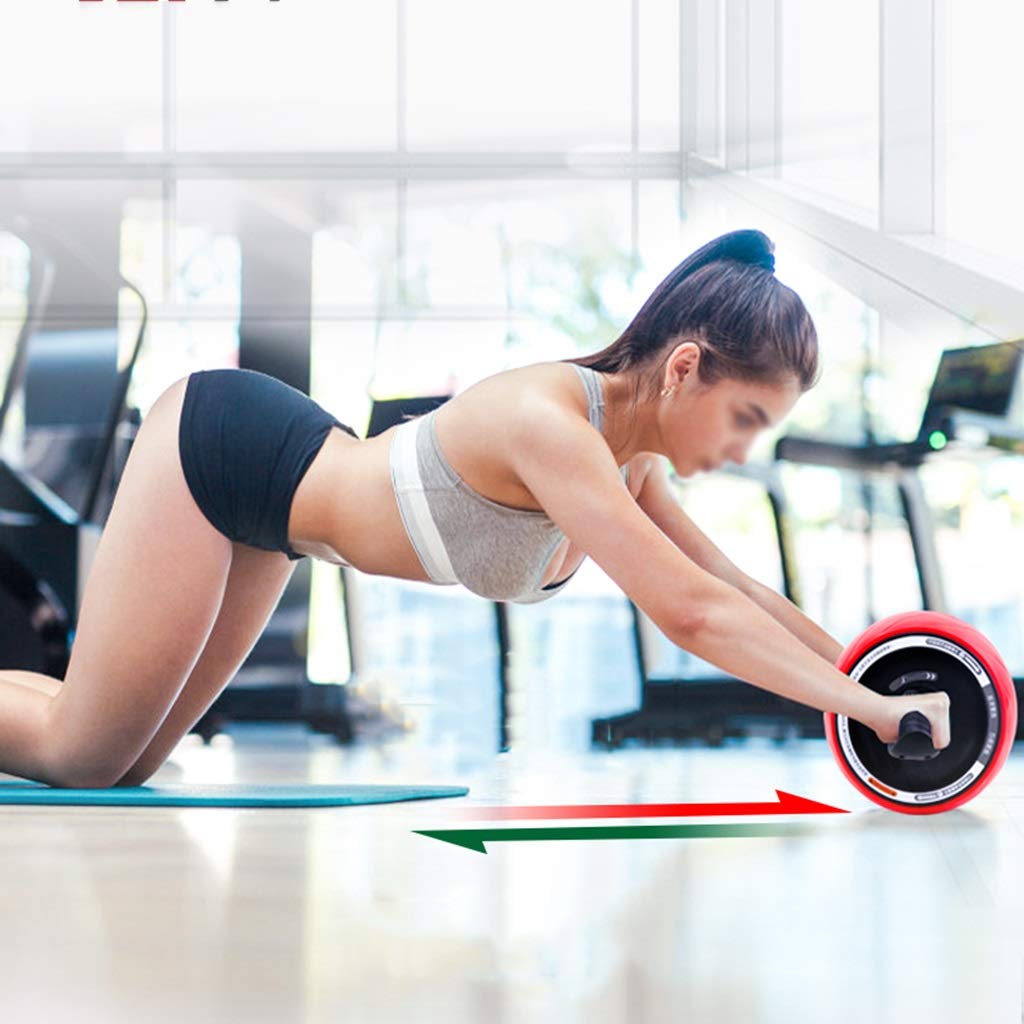 Ab Wheel Abdominal Exercise Roller Dual-Handle Fitness Wheel for Abdominal Training Device Training Full Body Roller Ab Roller (Purple)