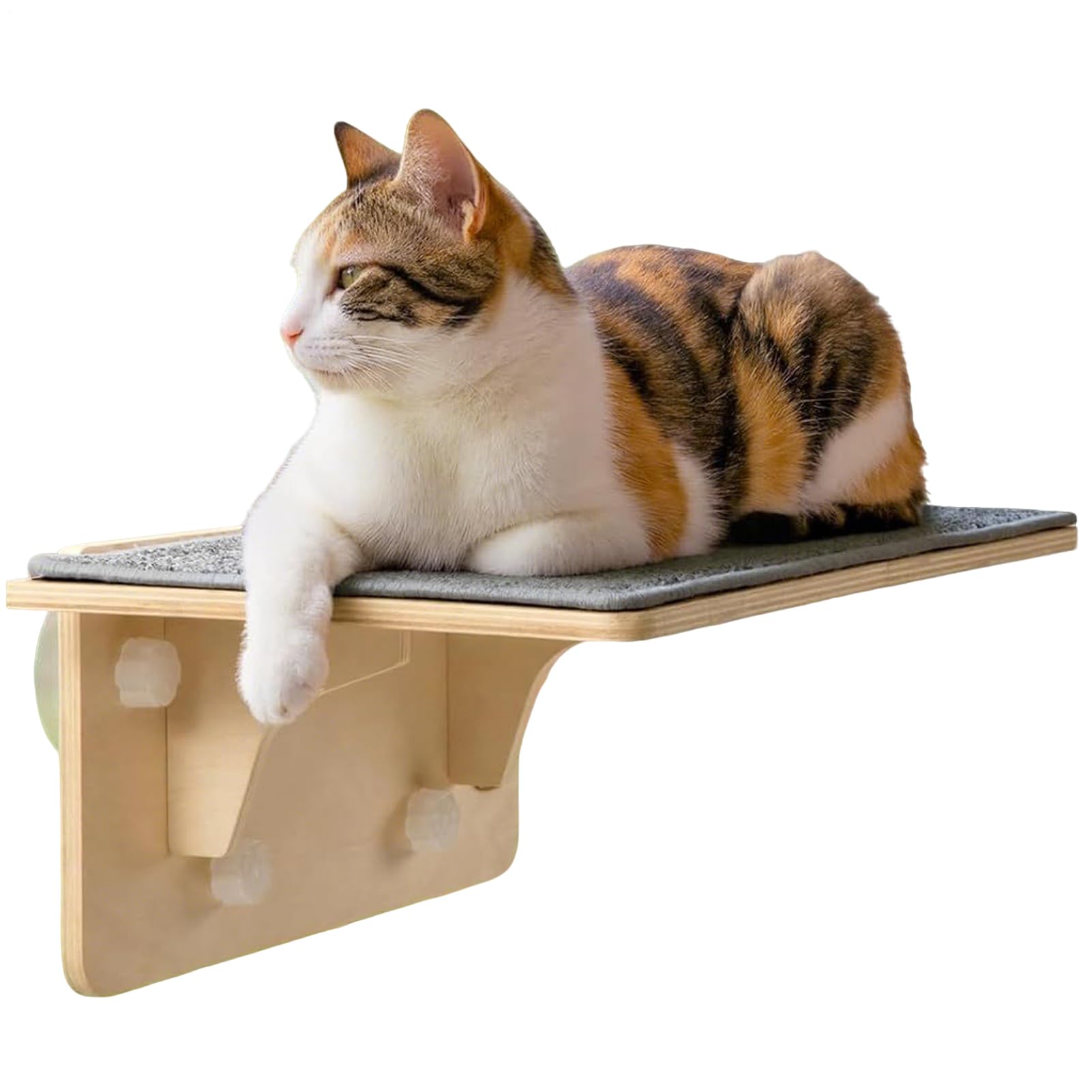 Fensterplatz Für Katzen Aus Holz Mit Saugnäpfen Als Katzenmöbel