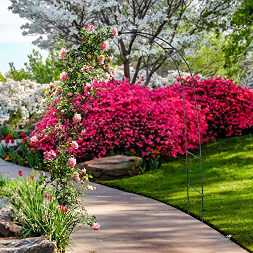 2X Torbogen, Rankhilfe Kletterpflanzen Rosen, Rosenbogen Metall, witterungsbeständig, HBT: 240 x 140 x 38 cm, dunkelgrün – Bild 3