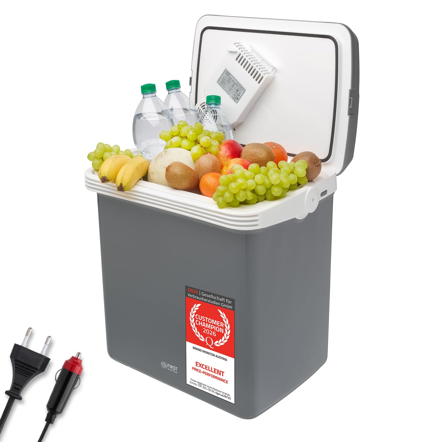 TZS First Austria - Nevera Eléctrica 32L - Función de Frío y Calor - 12V/230V para Coche y Enchufe - Termoeléctrica y Silenciosa - Camping y Viajes - Gris