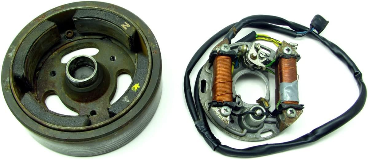 Powerdynamo (MZ-B) VAPE Ignition Only System Compatible with Engine Rotax 280cc SWM 320 TL DC