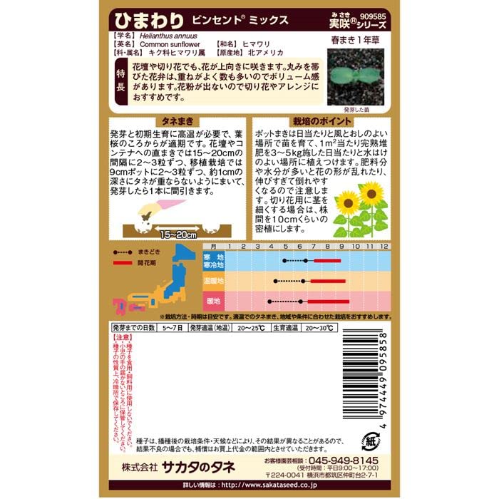 ひまわり　サイン　PSA8 ひまわり サイン PSA8