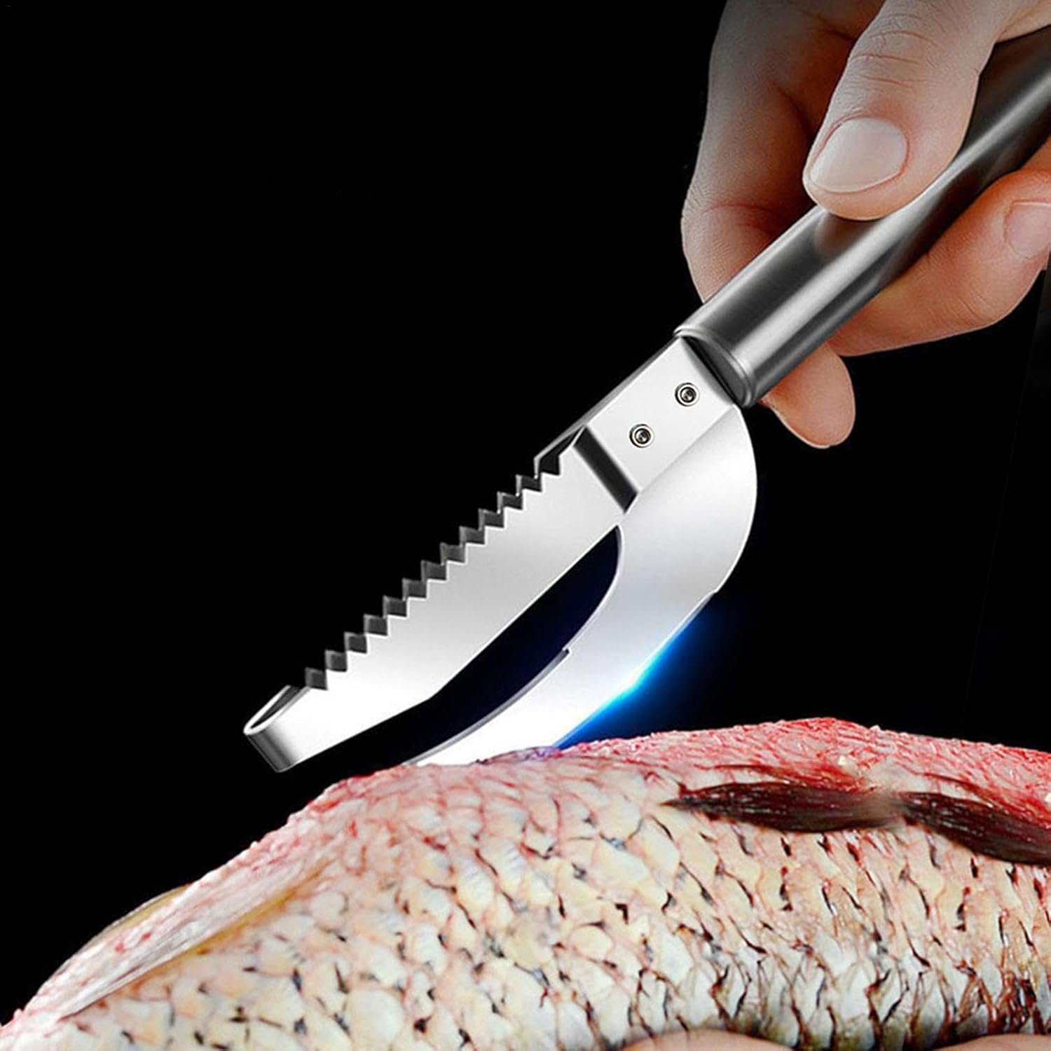 Homava Stainless Steel 3 in 1 Fish Maw Fish Hook Remover Cracker Fish Scale Fish Scraper Tool Fish Scales Scraping Too Gadgets Tank Net Tools Fish Pliers and Gripper | Silver | Pack 2