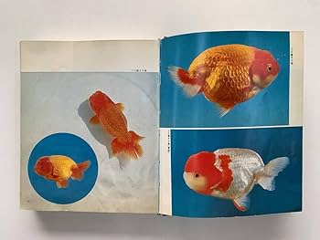 Amazon.co.jp: ランチュウ中心 金魚の飼育と繁殖 大野三男 当時
