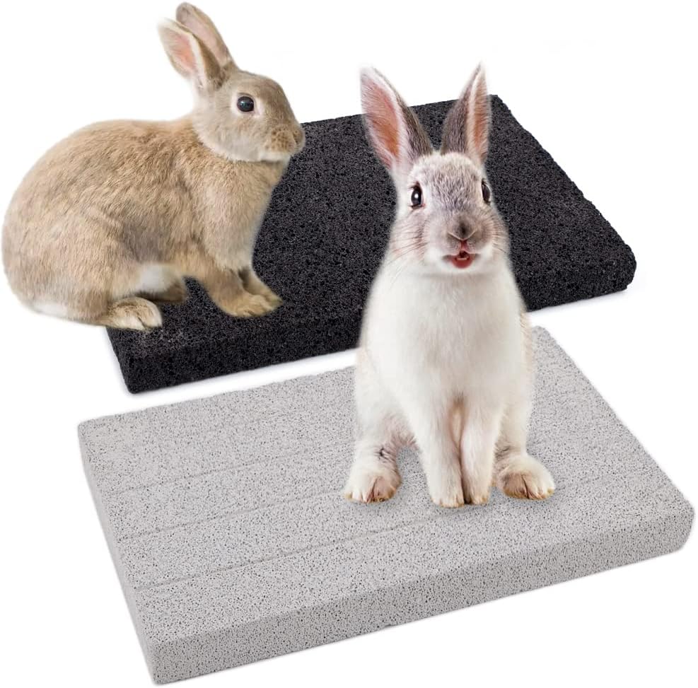 2 Pack Rabbit Grinding Claw Pad Lava Grinding Teeth Stone