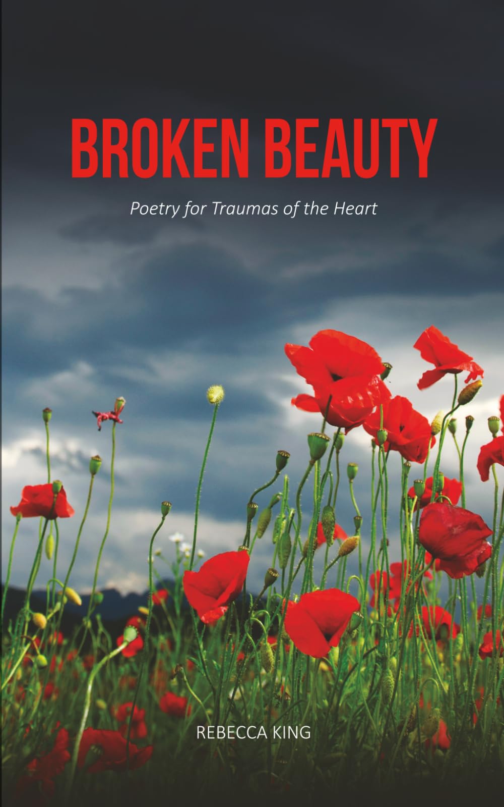Broken Beauty: Poetry for Traumas of the Heart