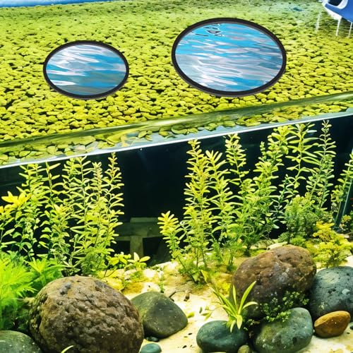 Image of 10 Pcs Fish Feeding Rings Set 5 Sizes Aquarium Round Feeder Ring for Fish Tank Aquarium Floating Plant Corral for Intercepts Floating Plants Black