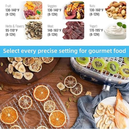 5-Tray Mini Electric Food Dehydrator, Adjustable 35-75℃ Temperature Control, 48H Timer, Removable Trays for Fruits, Vegetables, and Meat - White & Blue
