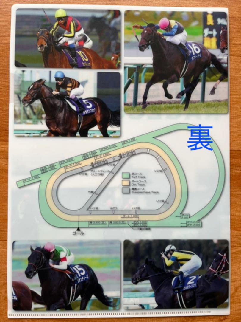 JRAクリアファイル13枚 バラ売り可能 Amazon.co.jp: JRA阪神競馬場クリアファイル A4サイズ : おもちゃ