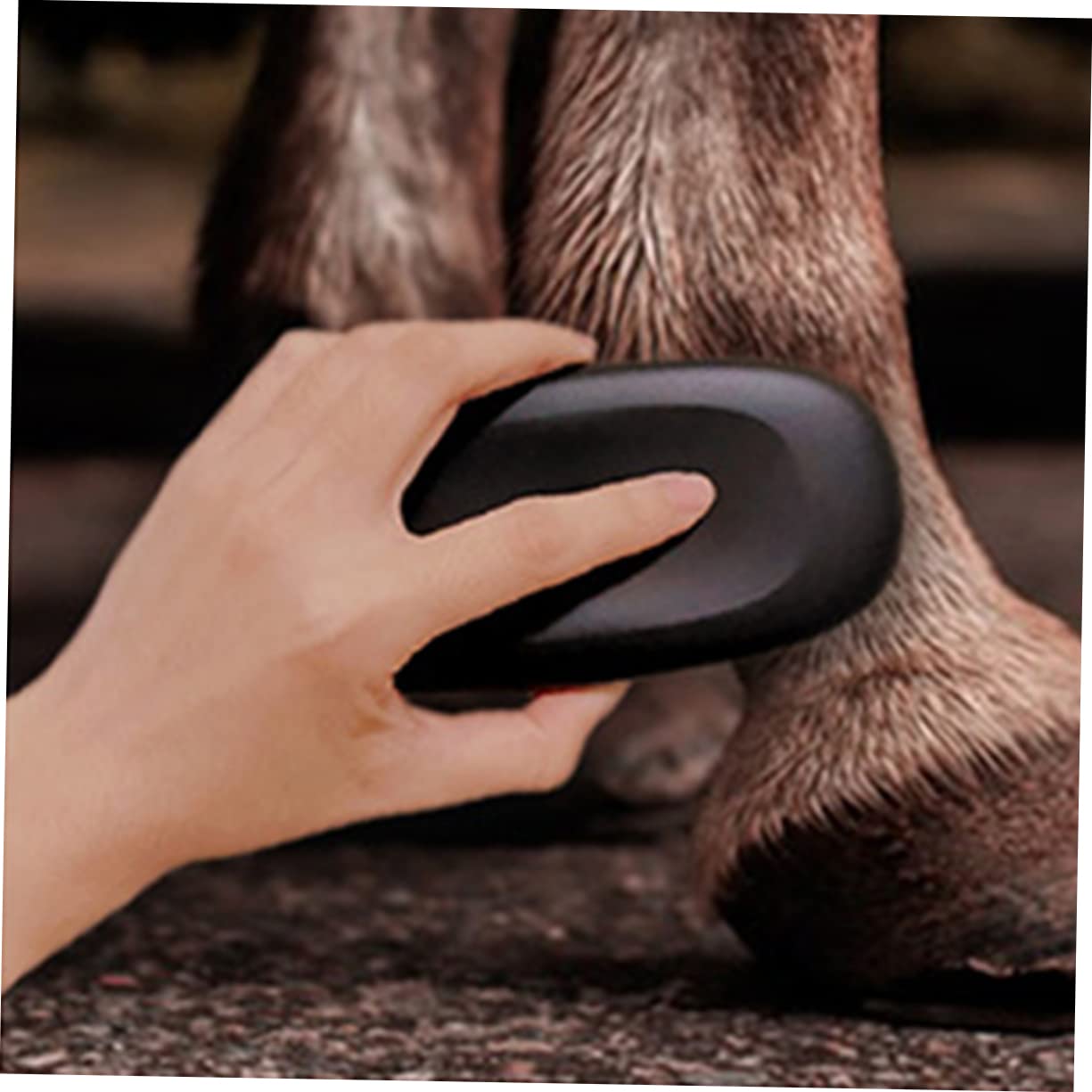 BESPORTBLE Horse Grooming Brush Livestock Hairbrush Easy to Handle Tail Brush Horse Cleaning
