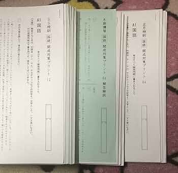 サピックス　小6　国語　桜蔭対策プリント　SS特訓 冬期講習　正月特訓　原本 サピックス 小6 国語 桜蔭対策プリント SS特訓 冬期講習 正月