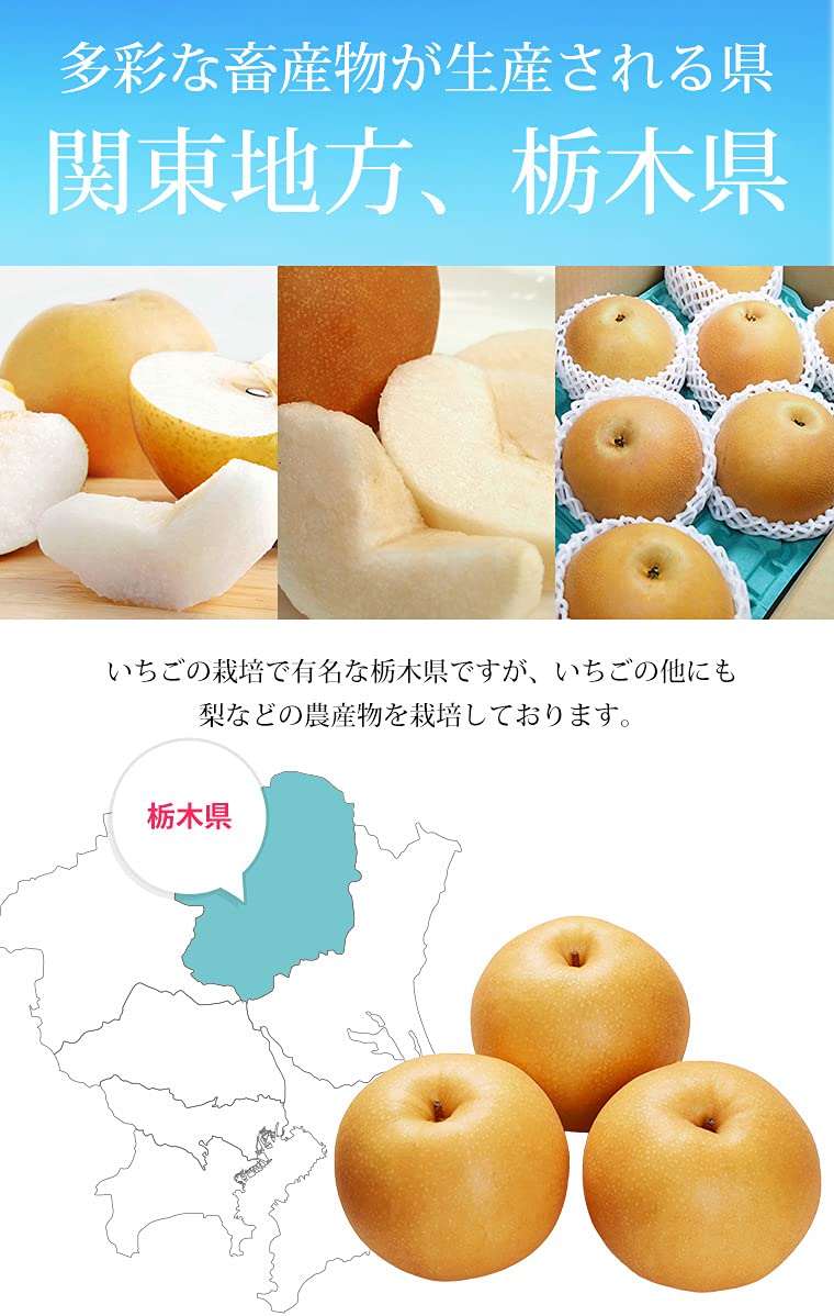 Amazon.co.jp: 梨 にっこり梨 約5kg 6～9玉 栃木県オリジナル品種 栃木