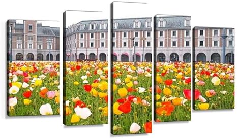 Amazon Co Jp 花畑 花 ポピー カラフル 花壇 ガーデニング 植物 趣味 建物 屋外 緑 園芸 外 開花 咲く 晴天 庭 自然 成長 癒し キャンバスアート アートボード 壁掛け装飾 おしゃれ 部屋飾り インテリアパネル 絵画 ポスター 木枠付きの完成品 ホーム キッチン