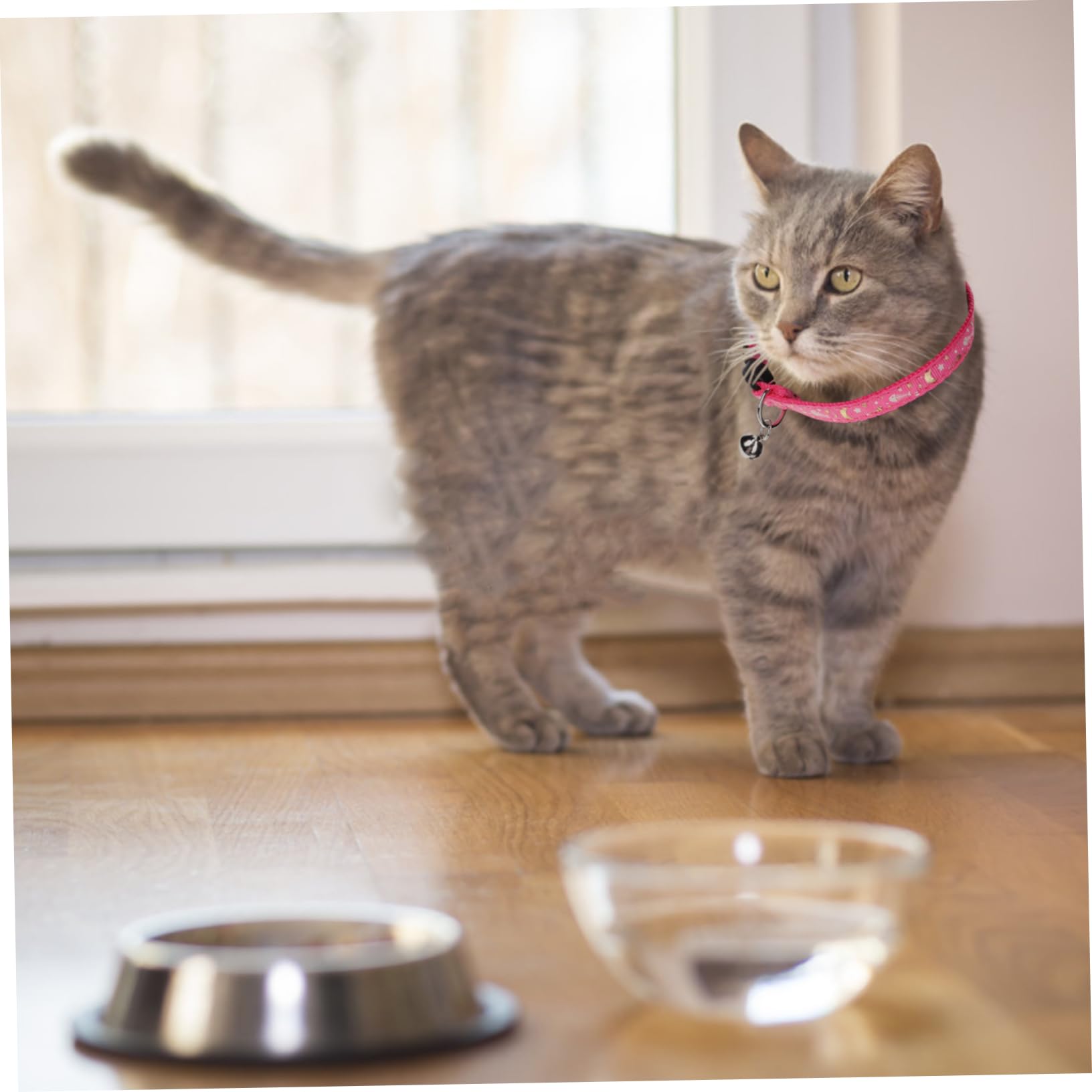 POPETPOP 12 STK Leuchtendes Katzenhalsband Dekorativer Katzen-halskreis Dekoratives Katzenhalsband Haustierhalsband Verstellbar Welpenhalsband Für Haustiere Kleiner Hund Stoff Haustierkette