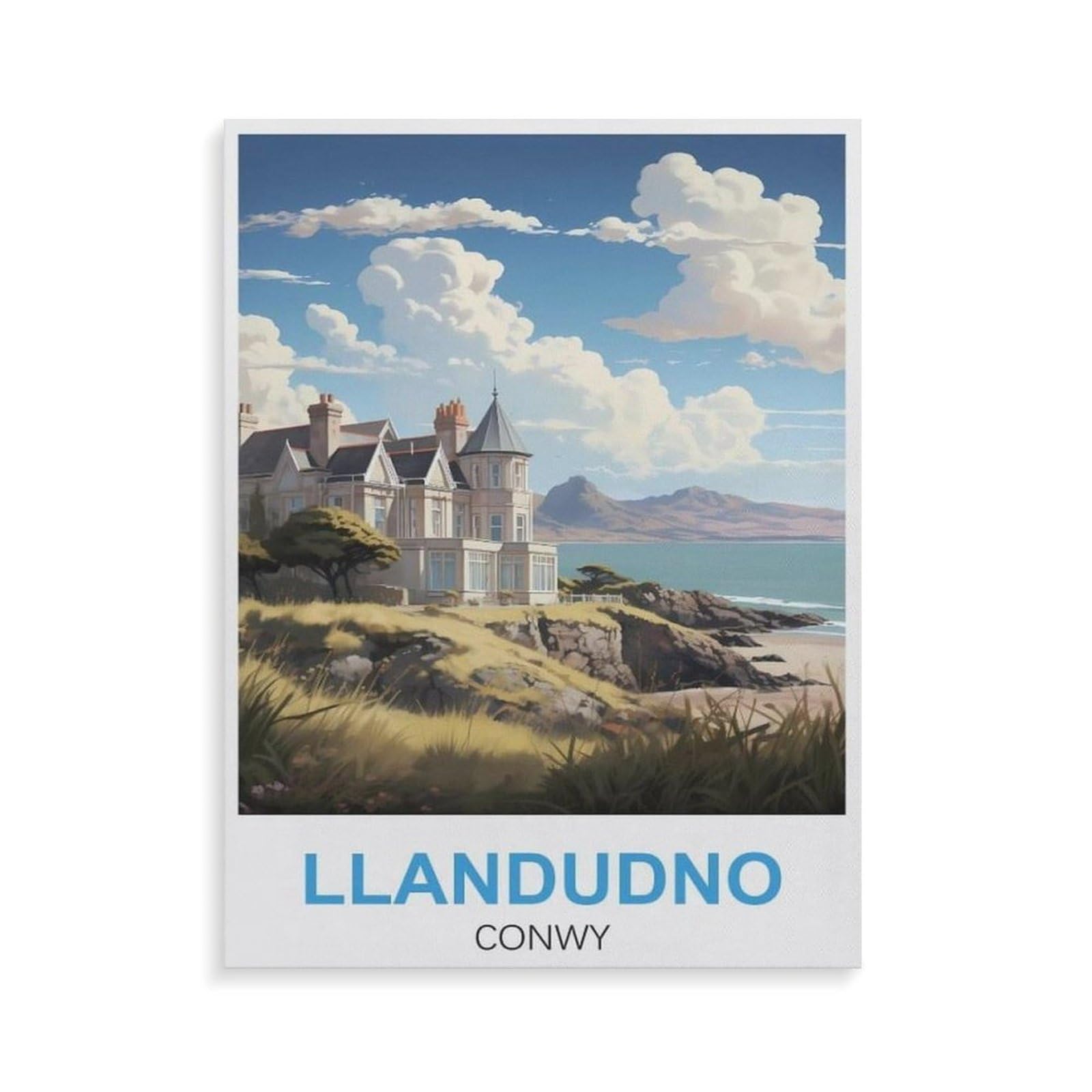 Jigsaw Puzzle 1000 Pieces for Adults，Llandudno Conwy，Teens Boys Girls Puzzles Difficult Thick Sturdy Pieces Challenging Puzzle for Party Games（38x26cm）-GS67