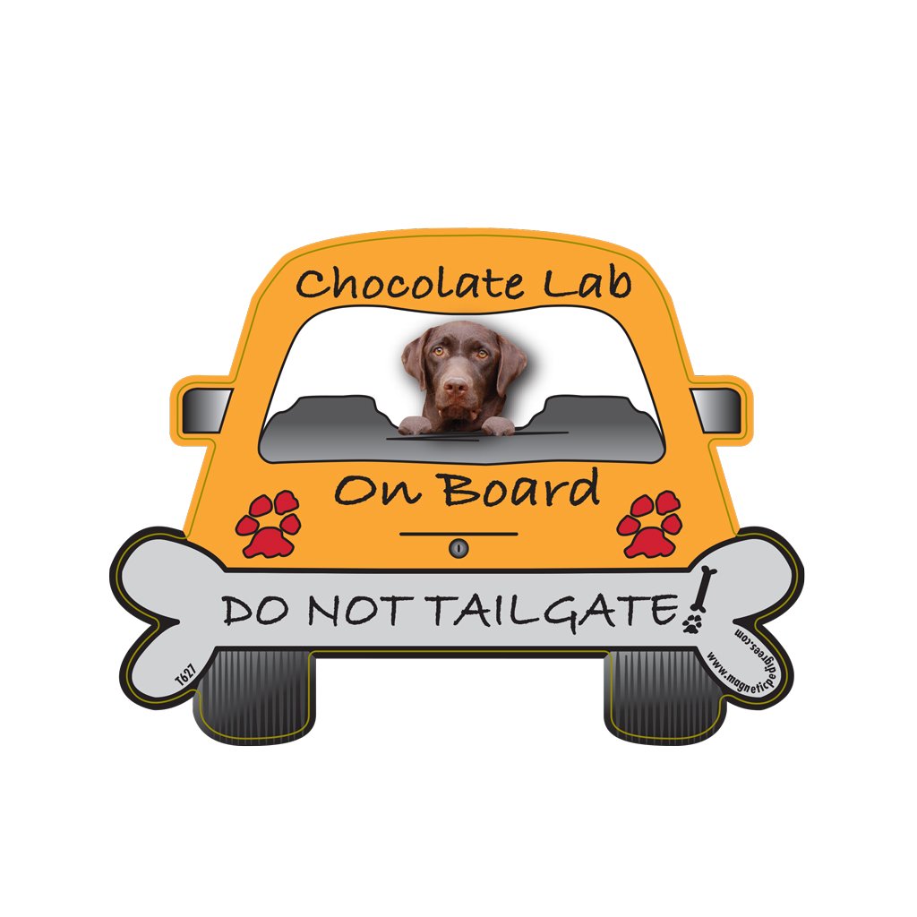 Chocolate Lab On Board Do Not Tailgate Car Magnet by Pet Gifts USA is 4.25" x 5.75" Made for Vehicles and Refrigerators