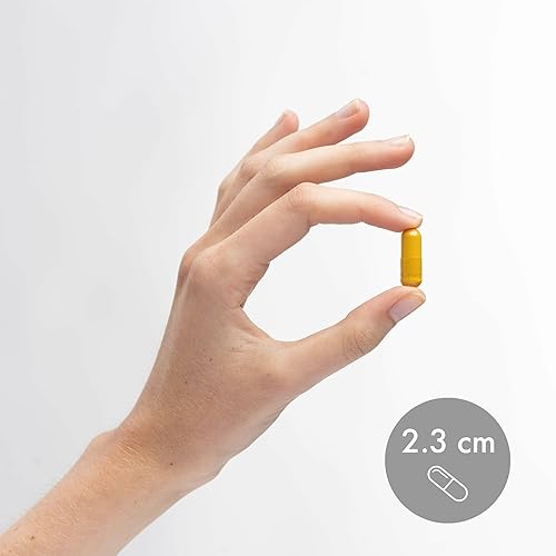 Vista 12 de Dr. Mercola Cúrcuma fermentada orgánica – 370 mg de cúrcuma fermentada – Curcuminoides de alta biodisponibilidad – USDA Organic, sin OMG, sin gluten