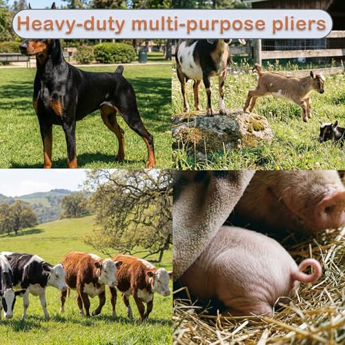 Image of Goat Banding Kit, Livestock Castration Bander with Stainless Steel Expander Pliers, 120Pcs 2 Sizes Castrator Rings and Ring Installation Tool for Goats, Lambs, Calves, Sheep, Piglets