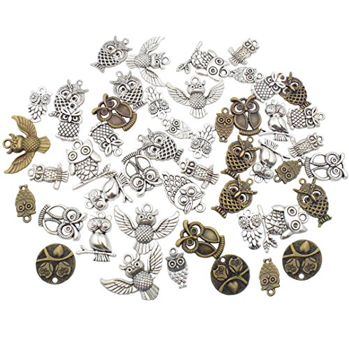 iloveDIYbeads OWL Charm Collection-100g (about 60 pcs) Craft Supplies Owl Charms Pendants for Crafting, Jewelry Findings Making Accessory For DIY Necklace Bracelet (M034)