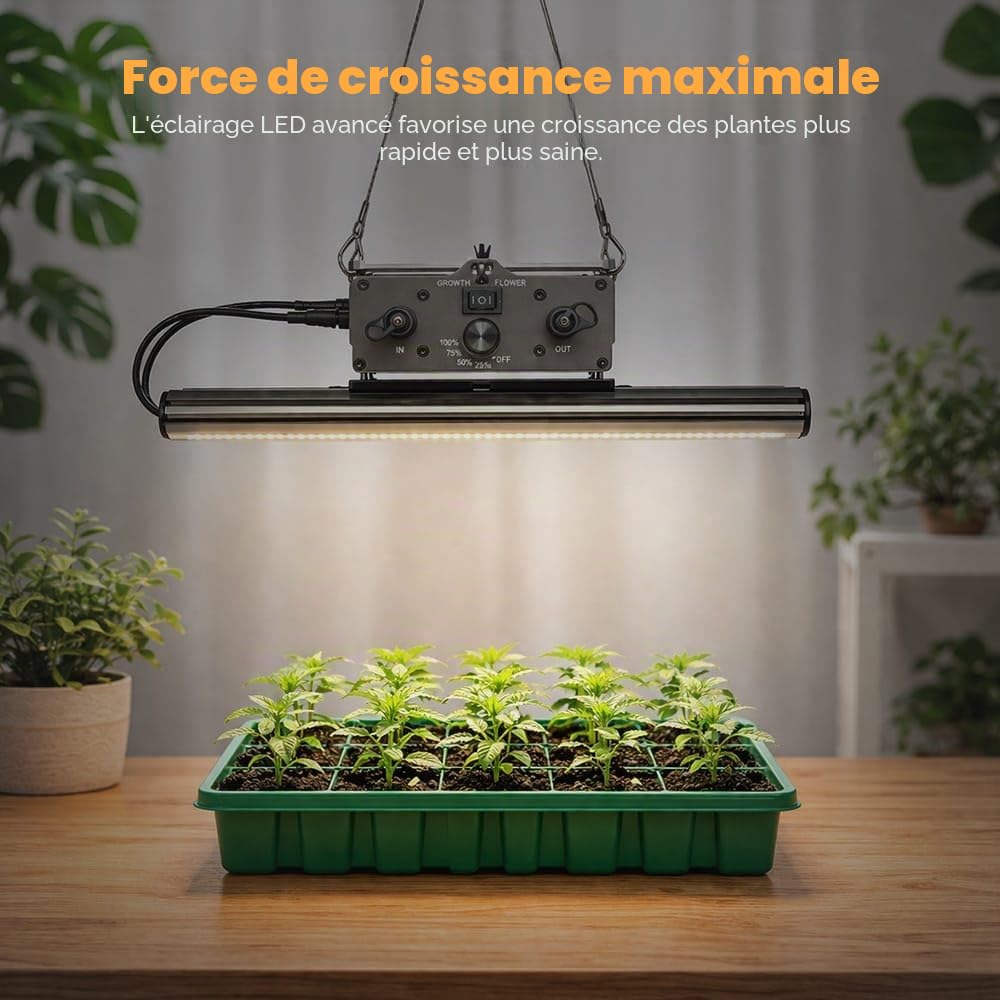 Greenception 160W GCx-4 PWR Lampe de croissance LED: éclairage végétal idéal avec UV et IR pour un maximum d'ingrédients actifs et de terpènes - Mode séparé pour la croissance et la floraison