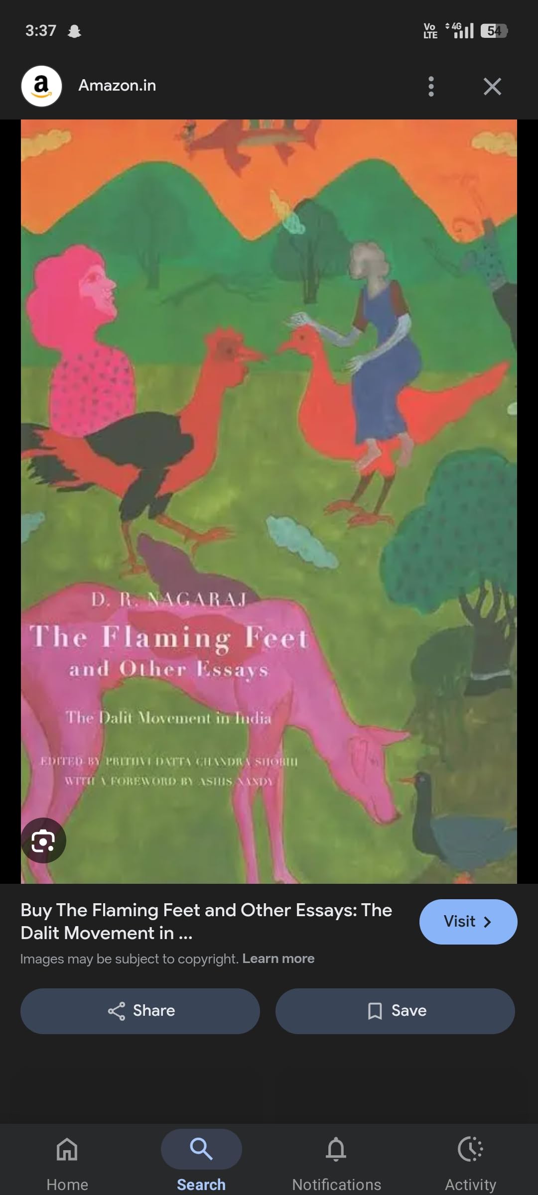 Buy Flaming Feet and Other Essays, The: The Dalit Movement in India — BookShops.in