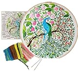Hand Embroidery Kits for with Pattern, Full Range of Embroidery Starter Kit with Pattern for Lovedfull [Secret Garden - Peacock]
