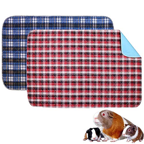 Amazon.ca Best Sellers The most popular items in Small Animal Bedding