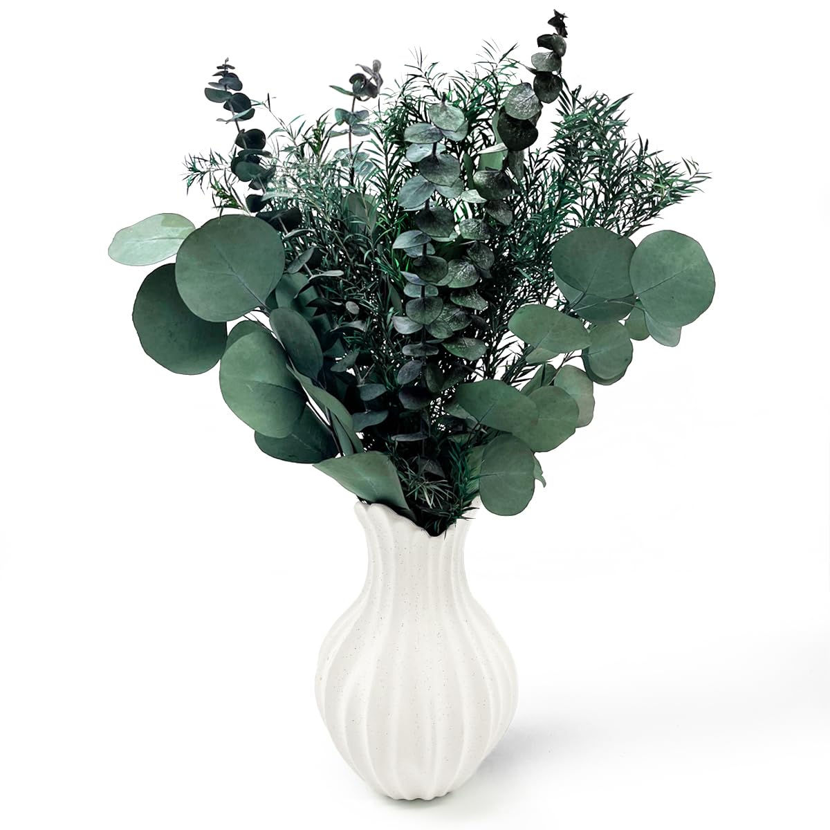 Flores secas preservadas, Verdes, Frescas, de eucalipto Real, Tallos y Ramas con 3 Tipos para arreglos Florales, decoración de Bodas y decoración del hogar