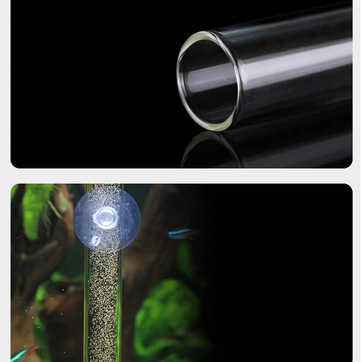 1PCS 200MM Aquarium Feeding Tube Fish Feeder Tube Clear Glass Shrimp Feeder with Glass Dish for Fish Tank Aquarium image 3