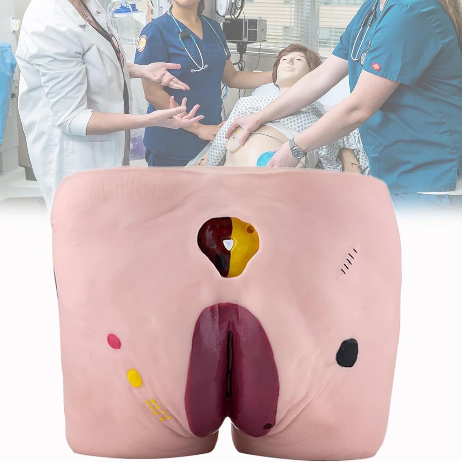 Modèle d'allaitement en 4 étapes pour ulcère de pression, mannequin médical grandeur nature pour soins aux personnes âgées, outil d'entraînement au nettoyage de surface de la douleur de pression