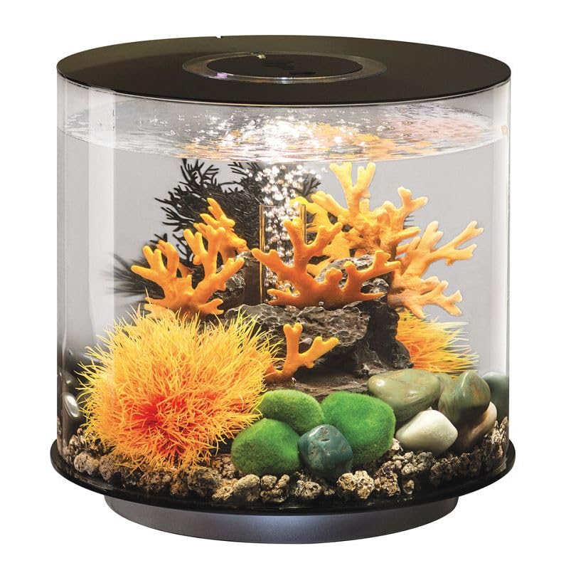 Aquarium Tube 15 biOrb pour débutant avec filtration simplifiée et LED