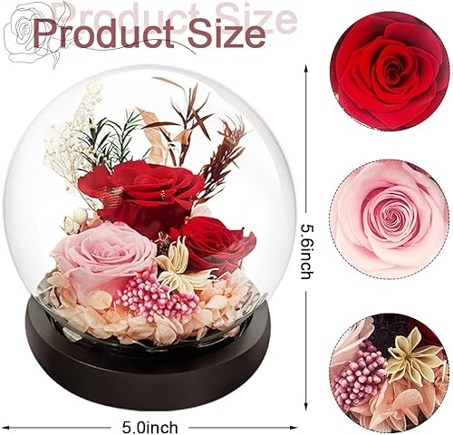 Miniatura 2 de Regalo de flor preservada, rosa real iluminada en cúpula de cristal, regalo de flor eterna para siempre, para ella, mujer, mamá, día de San
