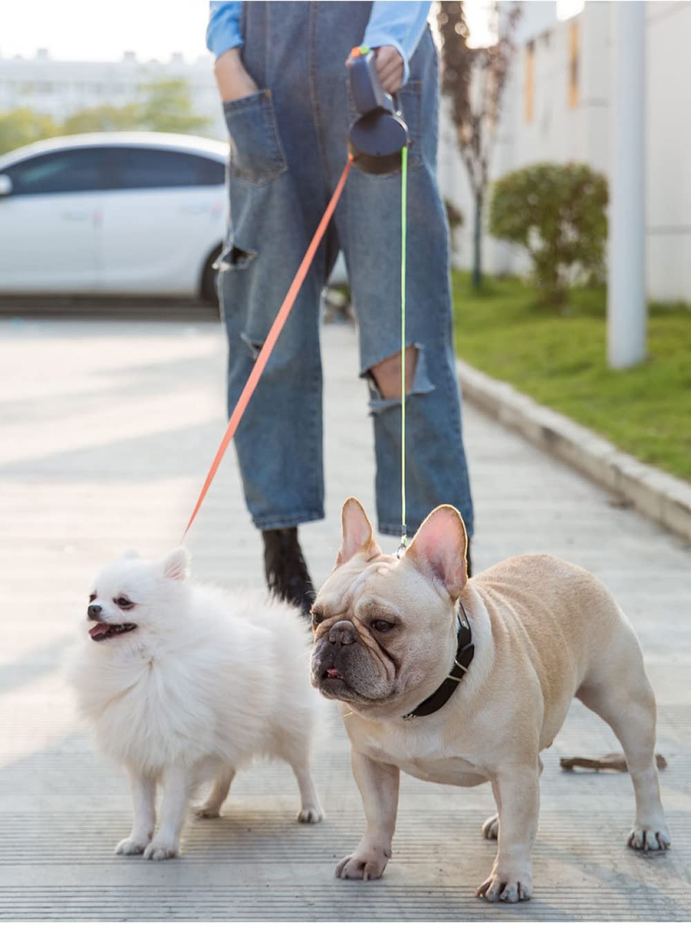 Doppio guinzaglio retrattile per cani - Guinzaglio per animali domestici allungabile a doppia testa per impieghi gravosi da 10 piedi con torcia a LED, borse per cacca, corda elastica riflettente - Sen