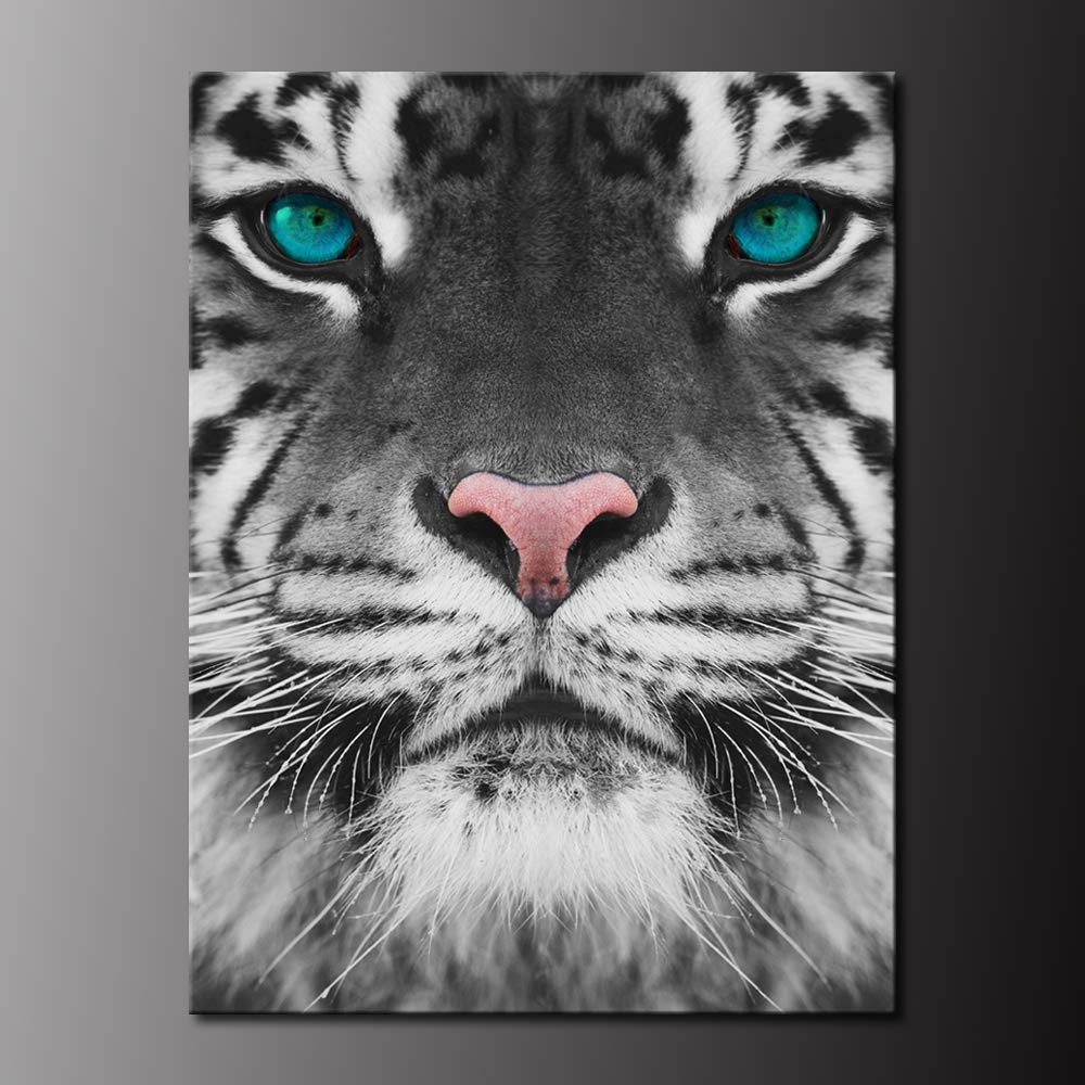 Biuteawal Tiger Canvas Art Wall Decor Blue Eyed Tiger Portrait Picture Poster Printed On Canvas Black And White Animal Painting Artwork Framed For Home Office Decoration Buy Online In Botswana At