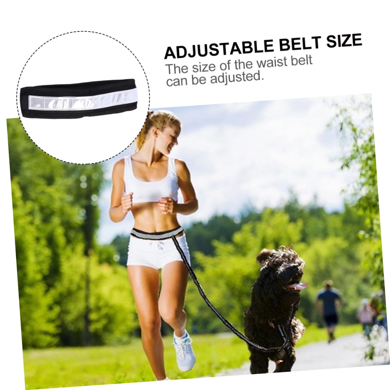 5 Stück-Pack Reflektierende Hundeleinen aus Nylon mit Metall 5stücke | Schlüsselbeutel, Wassernapf Tasche, Gürtel, Camping und Spaziergang, für Hund und Haustier Zufällige Farbe