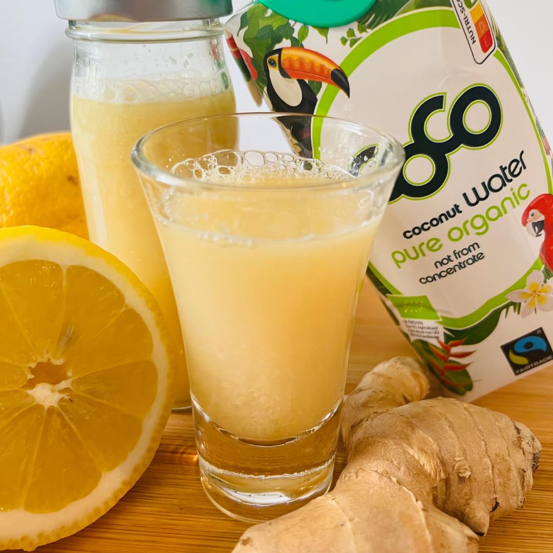 Dr. Antonio Martins - Coconut Water Pur | 100% Bio-Cocoswasser I Natürlich Erfrischend I Ohne Zusatzstoffe I Vegan I Bio | FAIRTRADE (12x 1000 ml)