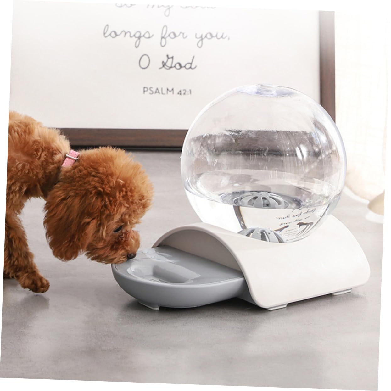 Hemobllo 1pezzo Dispenser Acqua Automatico Per Cani e Gatti Realizzato in Abs e Acrilico a Sifone Per Facile Scarico Capacità Smontabile e Facile Da Pulire Per Casa e Esterni